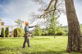 Best Commercial Tree Services  in Myerstown, PA