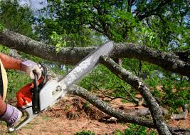 Myerstown, PA Tree Care Pros